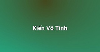 Kiến Vô Tình