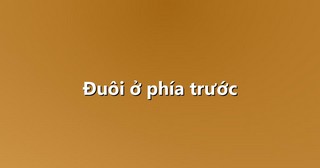 Đuôi ở phía trước