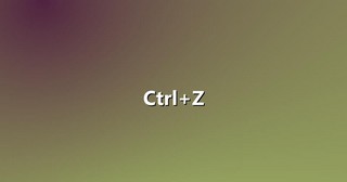 Ctrl+Z