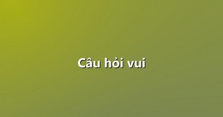 Câu hỏi vui