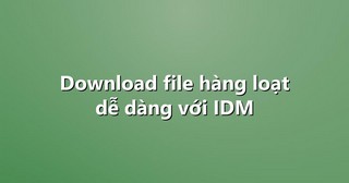 Download file hàng loạt dễ dàng với IDM