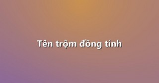 Tên trộm đồng tính