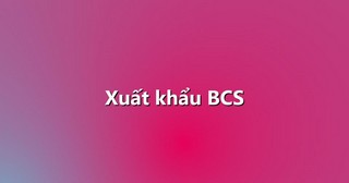 Xuất khẩu BCS