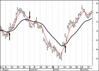 Đường trung bình di động – MA (Moving Average)